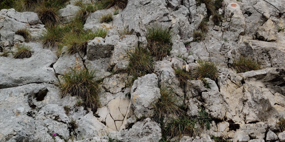 Lant urcare in Saua Crapaturii