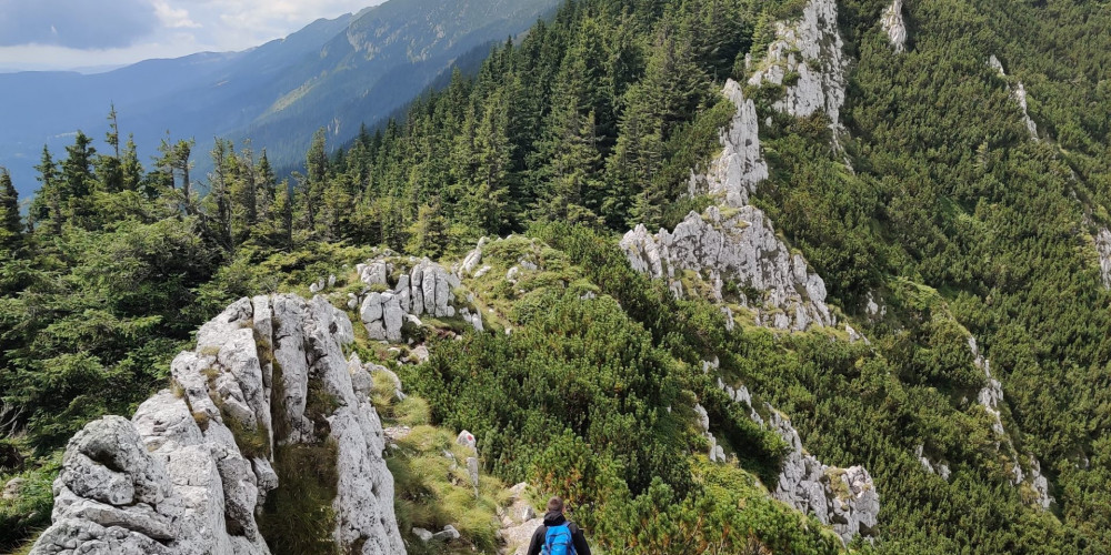 Traseu Creasta Nordica Traseu Creasta Nordica - Piatra Craiului
